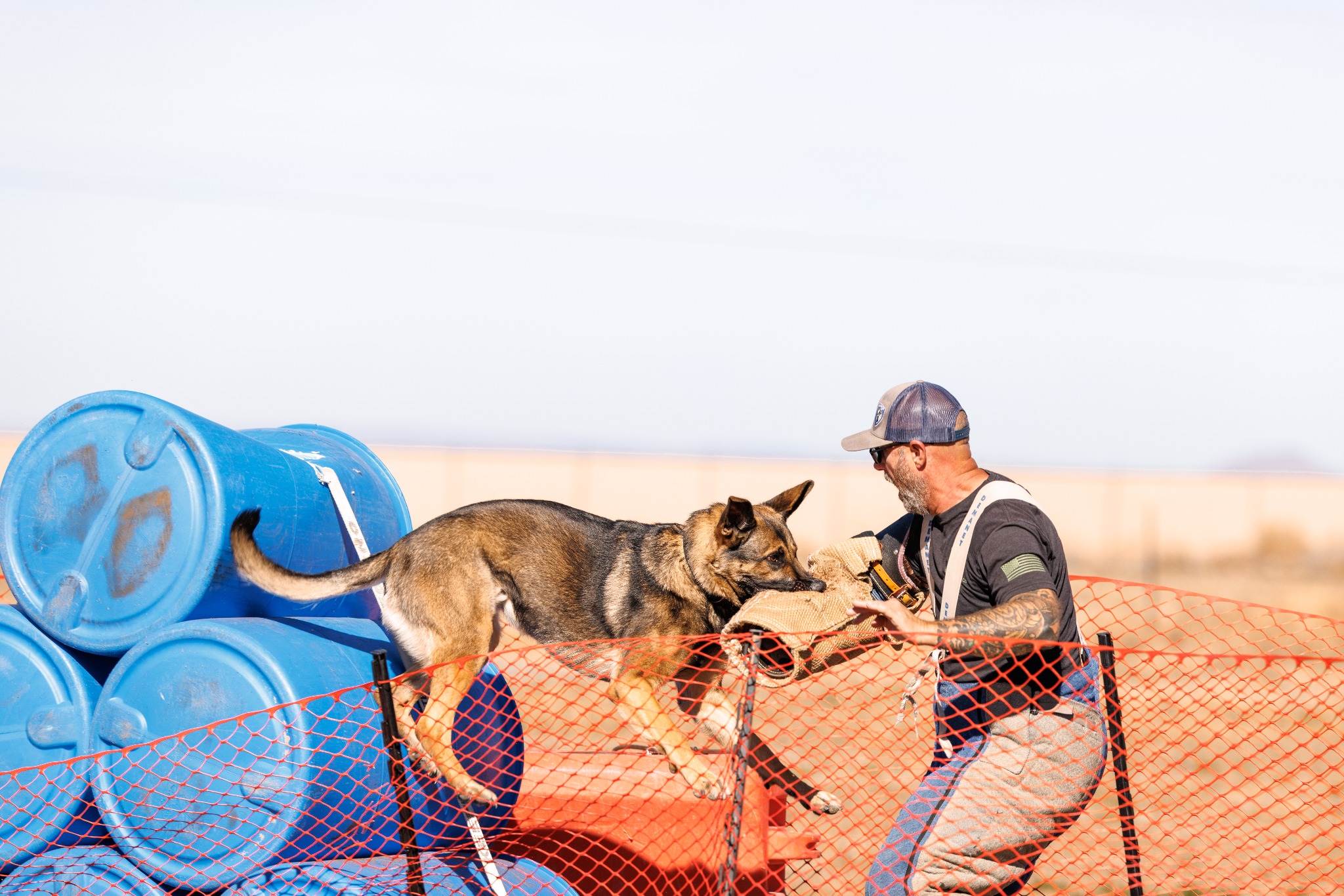 A protection dog working through a controlled competition-style exercise with a decoy